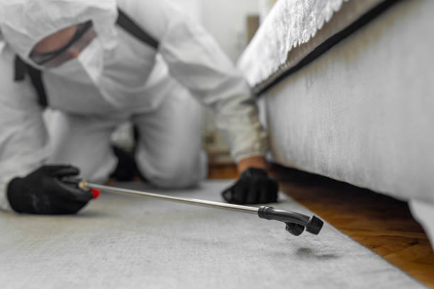 Professional Termite Control technician working in Bay Hill, FL