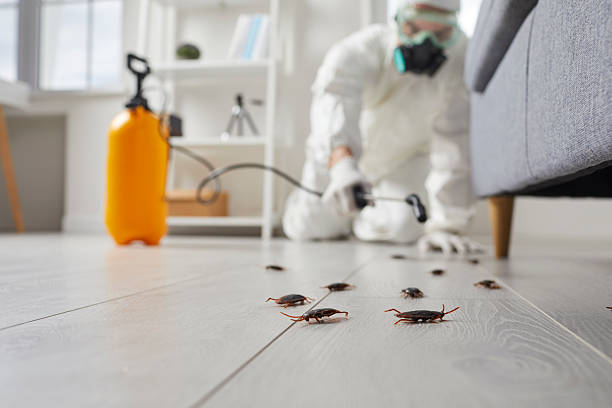 Trusted Fumigation Services service in Bay Hill, FL - Nex Pest Control