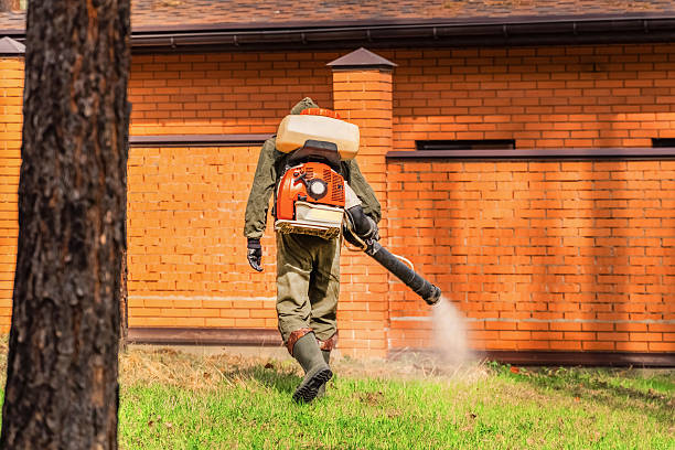 Trusted Emergency Pest Control service in Bay Hill, FL - Nex Pest Control